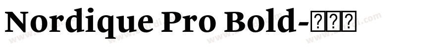 Nordique Pro Bold字体转换